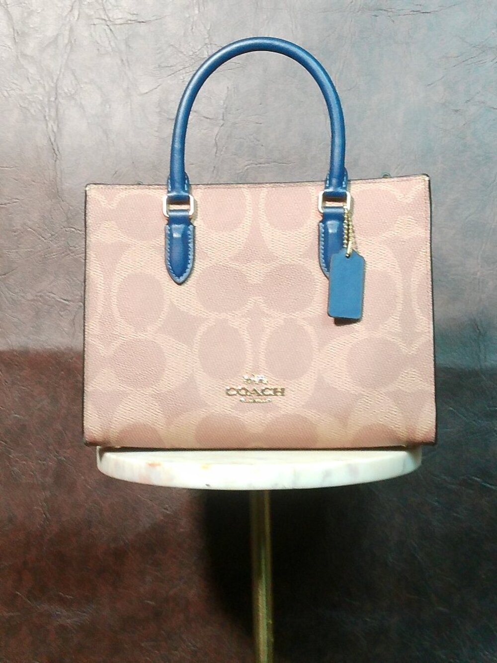 Coach Maggie Mini Bag with Blue Lining